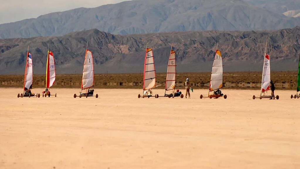 Los campos de trigo en 25 de Mayo.