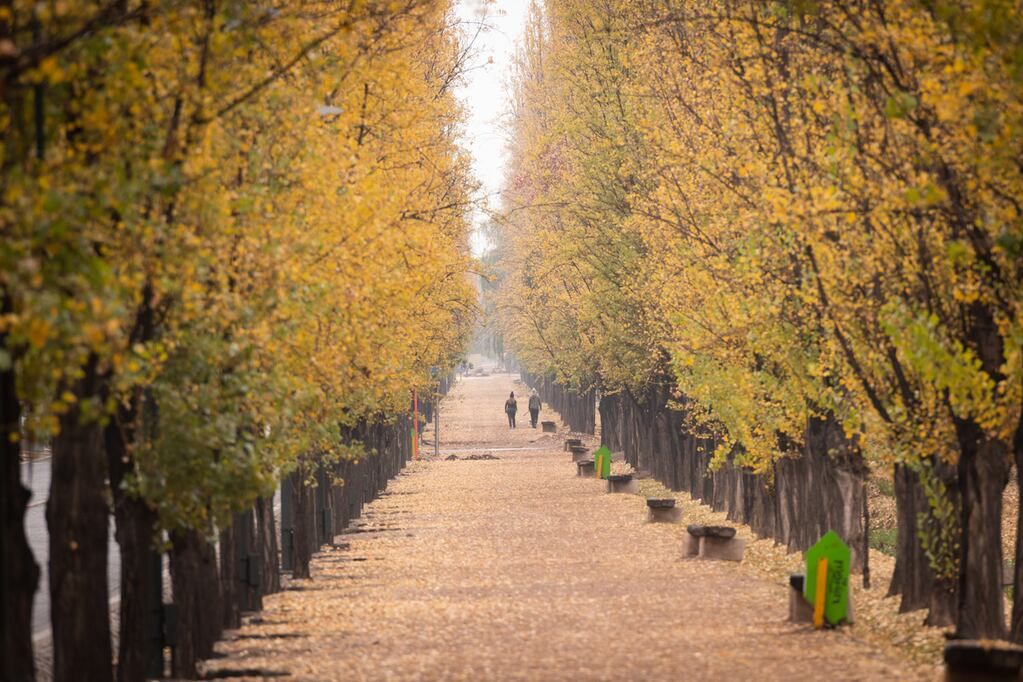 Estará frío este fin de semana en San Juan.
Foto: Ignacio Blanco / Los Andes 