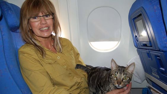 ¿Qué cuidados hay que tener con los animales antes de volar?