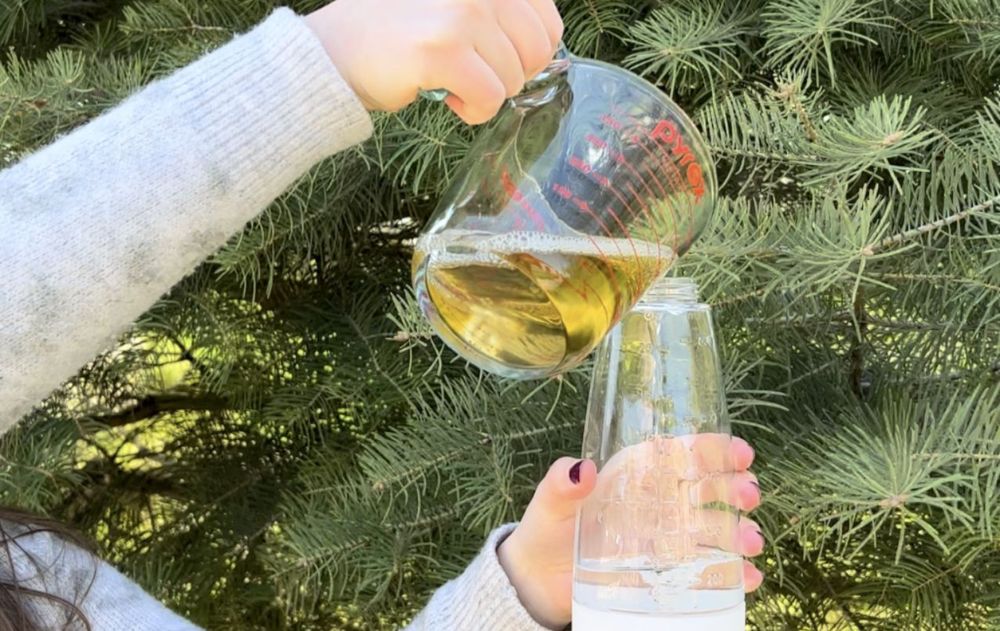 Las arañas pueden continuar su vida en lejos de casa gracias a esta alternativa sustentable que reemplaza a insecticidas químicos más agresivos.