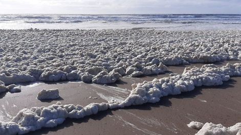 El extraño fenómeno con el que aparecieron las playas marplatenses.