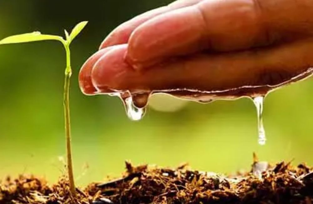 Estos proyectos pueden basarse en investigaciones científicas, desarrollo de tecnologías o aplicaciones que contribuyan a la conservación y uso responsable del agua. Gentileza