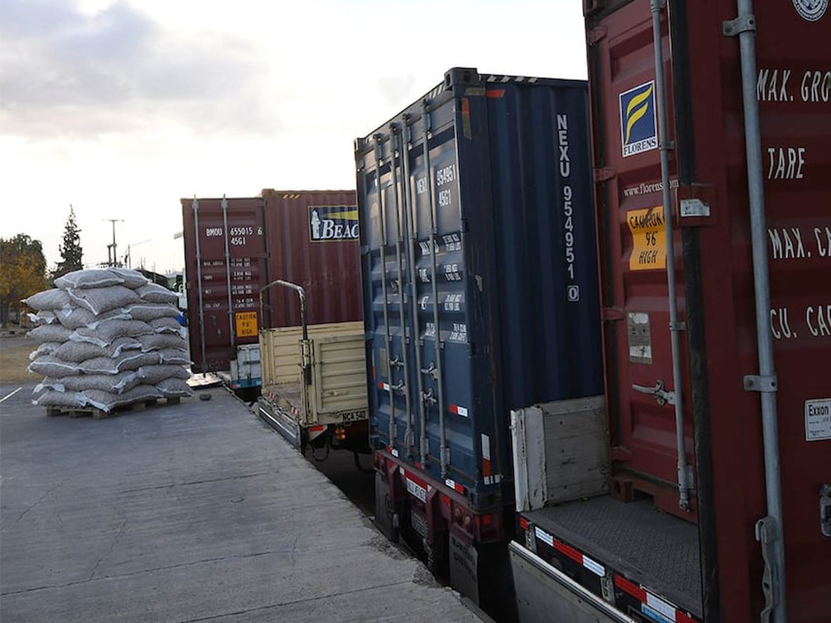 Las exportaciones mendocinas aumentaron US$ 100 millones en el primer semestre, en comparación con 2023. Foto: Marcelo Rolland / Los Andes
