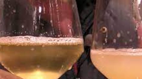 El INV habilitó la comercialización de vinos con turbidez