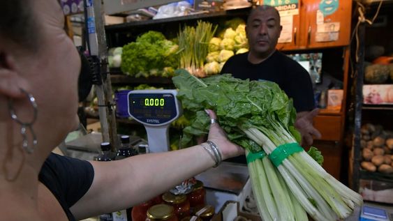 Además de estar a un precio muy accesible durante el invierno, la acelga es versátil y puede utilizarse en un buen número de recetas. Foto: Orlando Pelichotti / Los Andes