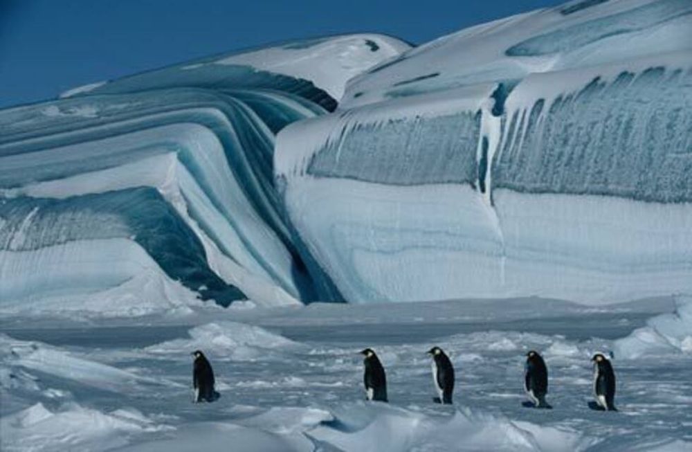 China y Rusia hacen caer un posible acuerdo para proteger santuarios marinos en la Antártida