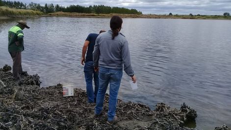 Las autoridades hallaron en la laguna niveles preocupantes de químicos y poca cantidad de agua. Foto: Departamento General de Irrigación.