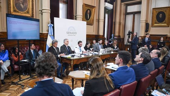 El Senado retomó hoy el plenario de comisiones de Presupuesto y Hacienda y de Trabajo y Previsión en el que se discute el proyecto que incrementa los haberes jubilatorios en un 8,1 por ciento y que modifica la fórmula de movilidad, por lo que podría haber dictamen. FOTO NA