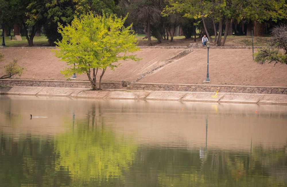 Parque General San MartínEste fin de semana de otoño en Mendoza estará frío, nublado y precipitaciones aisladas.  Foto: Ignacio Blanco / Los Andes
