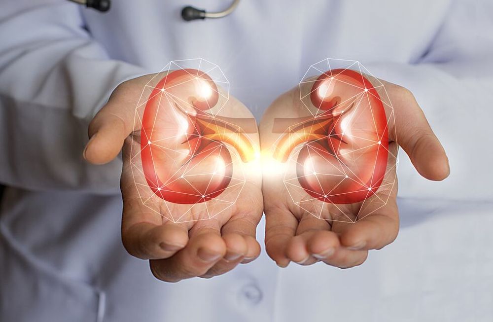 10 reglas de oro para la salud renal y otros consejos