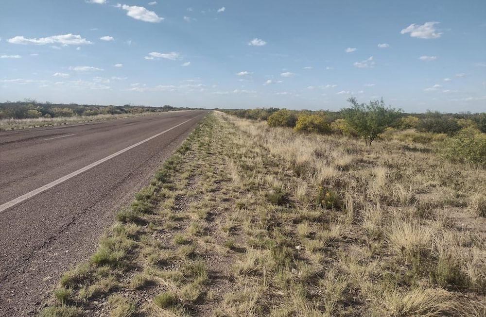 Vialidad Mendoza limpió 300 kilómetros de banquinas en la Ruta Provincial 153