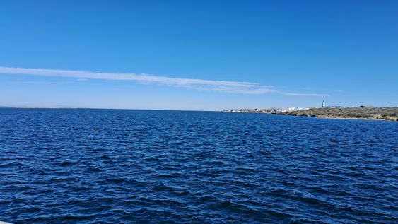 irrigacion responde por el nihuil: el bajo nivel se debe a la crisis hidrica y el ecosistema del lago esta sano