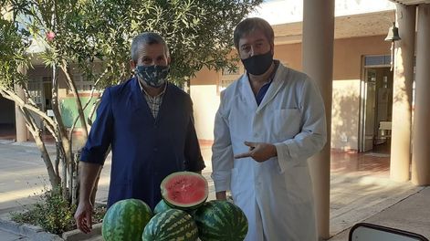 La escuela Gauchos de Güemes, de Alvear, cultivó sandías y ahora las vende para pagar el servicio de internet.