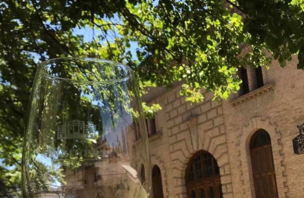 Bodega y Cavas Weinert: para recorrerla de manera online y offline