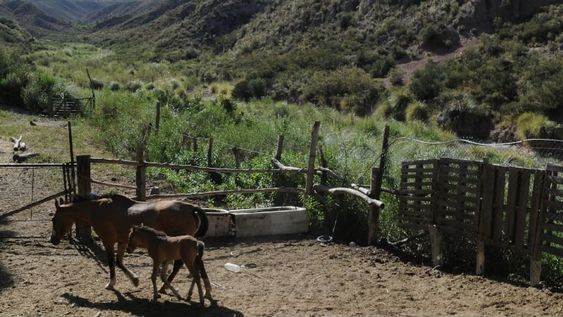 El Puesto Lima está a unos 2 kilómetros al Oeste de la Colonia Papagayos. Foto: Orlando Pelichotti / Los Andes