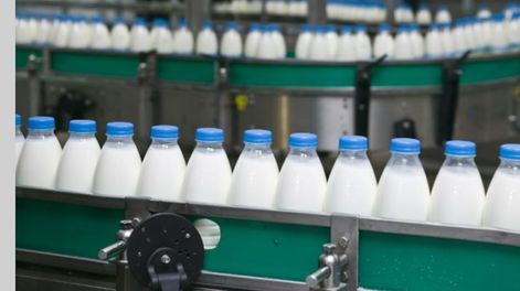 Paro de trabajadores lácteos: desde la industria advierten por posible desabastecimiento