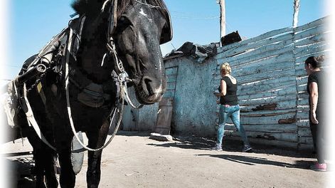 La crítica  situación social - Por Rosendo Fraga