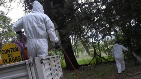 Los Andes | Dengue: los especialistas advierten que por si sola la fumigación no es la solución y que los resultados se obtienen con su uso como estrategia complementaria de otras, entre las cuales cumple un rol sustancial el trabajo de descacharreo y limpieza para e