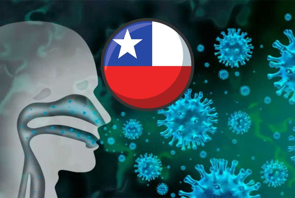 Cada vez más cerca: Chile confirmó la llegada de la influenza A (H3N2) y espera que crezcan los casos