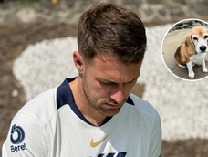 Aaron Ramsey ofrece una fortuna para encontrar a su mascota extraviada en México