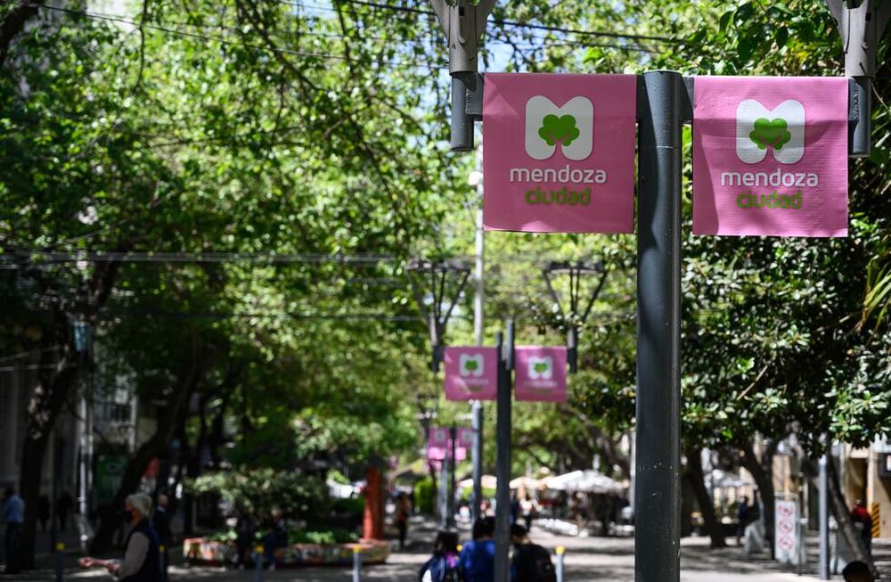 La Ciudad realizará diversas acciones de concientización por el #MesRosa