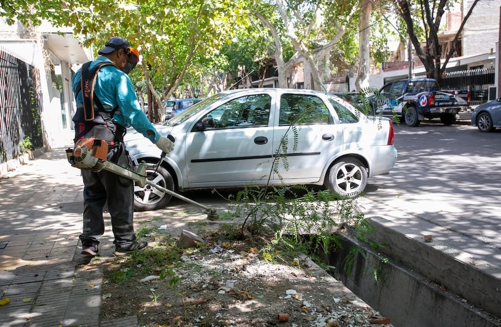 Conocé las medidas de prevención contra el dengue y colaborá con la campaña de la Ciudad