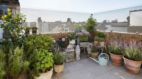 Los Andes | planta de exterior