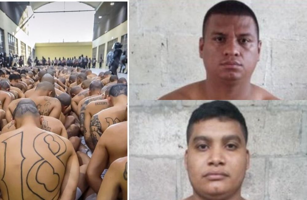La Mara Salvatrucha es una organización internacional de pandillas criminales cuyas actividades incluyen violación, narcotráfico, extorsión, contrabando de armas, secuestro, robo y asesinatos por encargo.