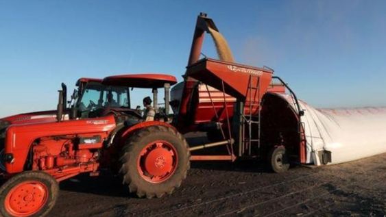 Fuerte expectativa en el campo y la agroindustria por anuncios sobre el “dólar soja”