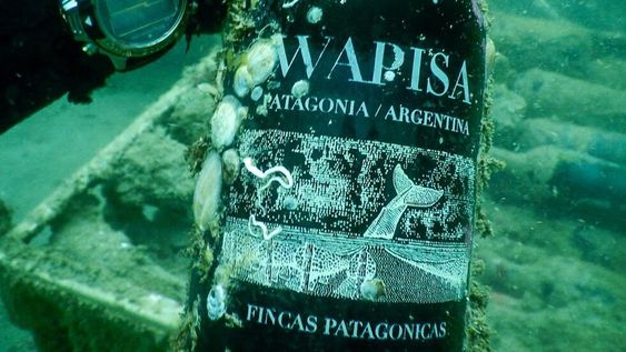 Wapisa Malbec. Unas 800 botellas fueron sumergidas a 12 metros de profundidad en el mar de Río Negro.