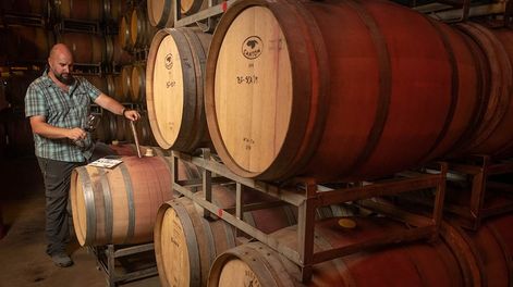 Los Andes | Esta semana, en el marco del aniversario de la declaración del Vino Argentino como Bebida Nacional, el INV lanzó el programa Vino Cercano, que habilita a que se venda vino en envases retornables.