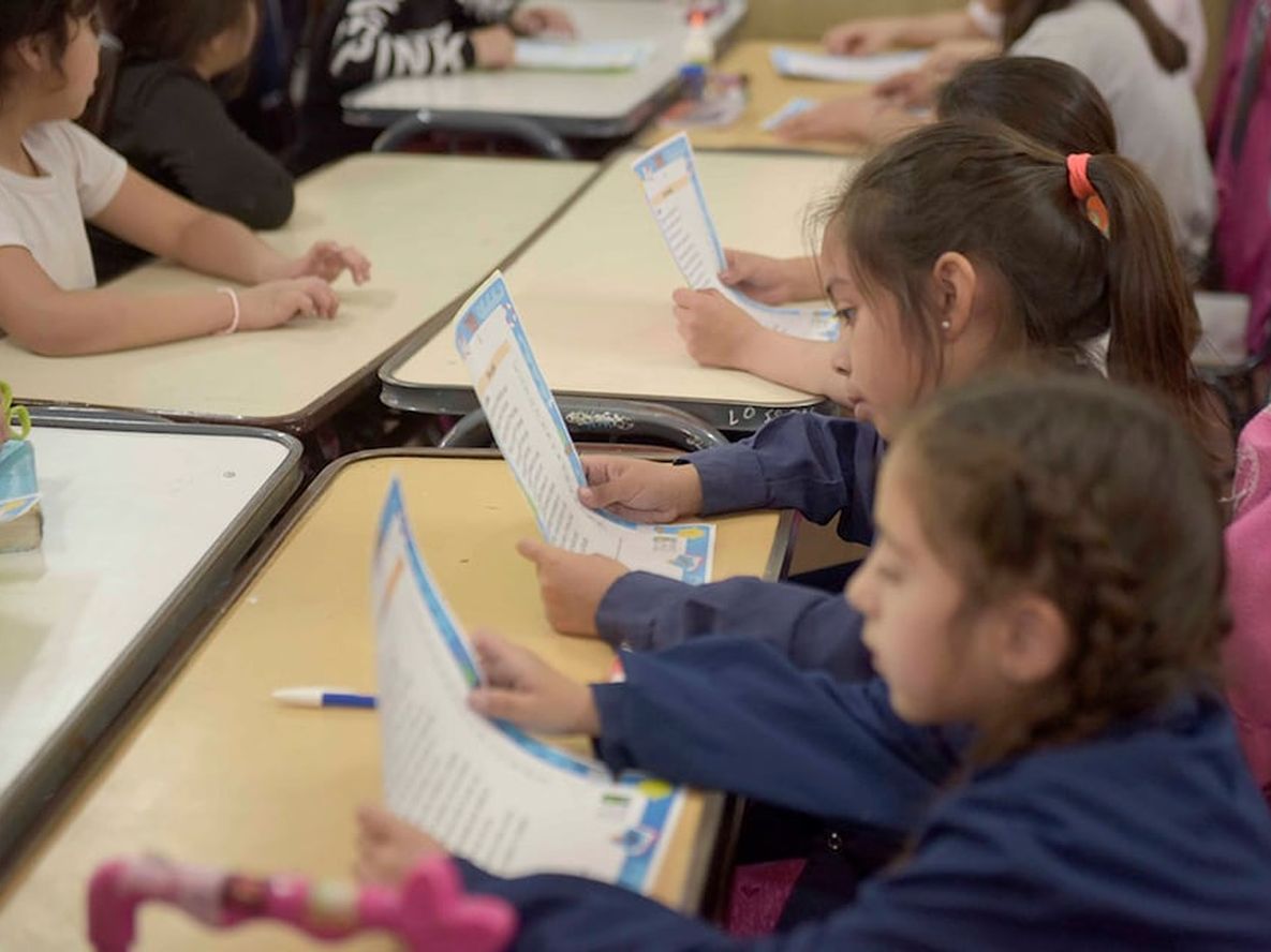 La DGE celebró una reducción de alumnos críticos en fluidez lectora pero las escuelas marginales mantienen peor desempeño