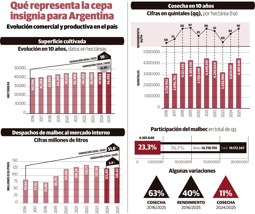 Hoy la cepa insignia argentina se expresa en m&uacute;ltiples estilos, infograf&iacute;a realizada con informaci&oacute;n de Observatorio Vitivin&iacute;cola Argentino (OVA)&nbsp;