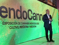 La motosierra de Milei demora la puesta en marcha del plan de cannabis que quiere Cornejo para Mendoza