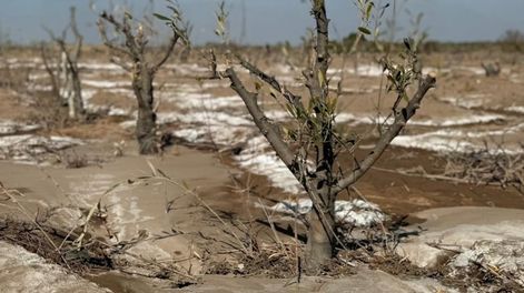 Los Andes | La última defensa, liderada por Gabriel Guardia, se denomina “La Guardería” y se ubica en una finca maipucina de 10 hectáreas.