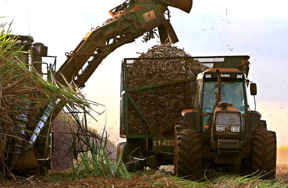 Instituto Nacional de Tecnología Industrial presentan los resultados de investigaciones que buscan la perfección técnica en toda clase de cultivos y ganado. / Foto: Archivo / Los Andes