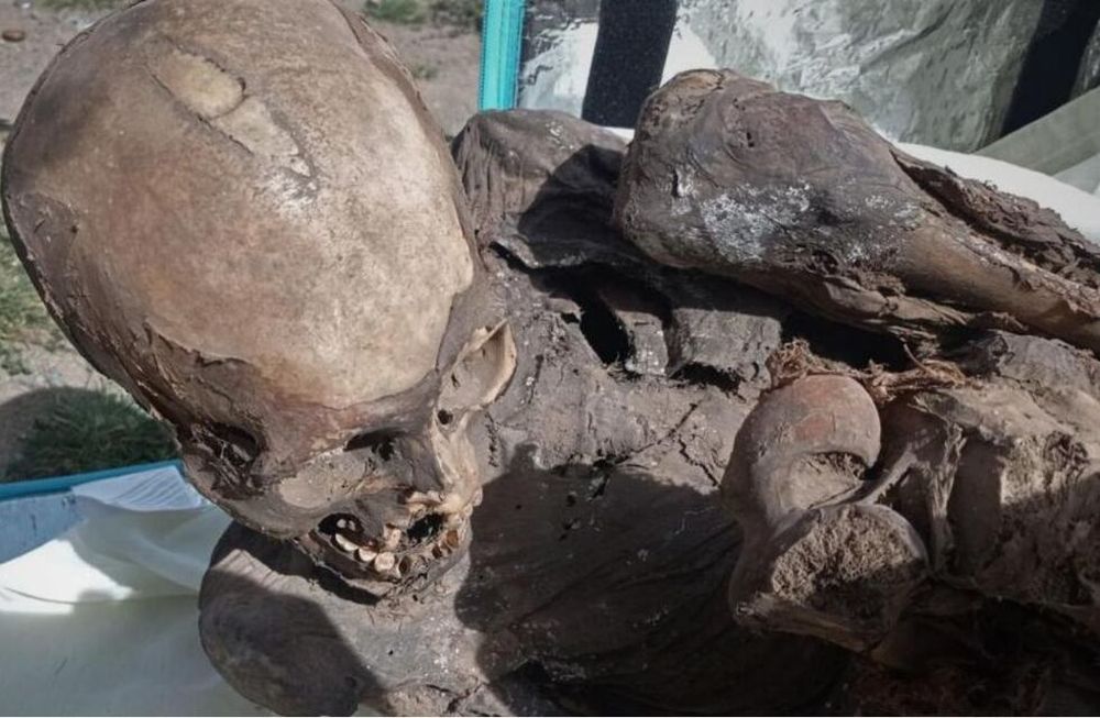 El repartidor declaró que tenía a la momia guardada en la casa de sus padres y que la sacó para mostrársela a sus amigos del barrio. Foto: EFE.