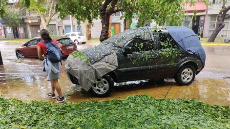 Autos protegidos para evitar los daños.