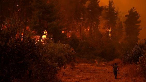 Miles de hectáreas son devoradas por las llamas en Grecia y Turquía.