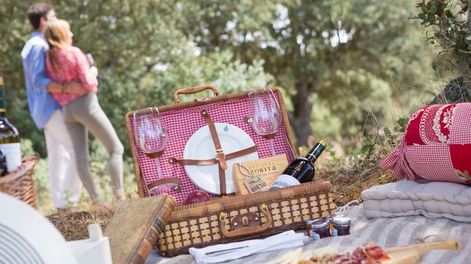 Picnic, una opción económica para visitar y conocer bodegas en Mendoza.