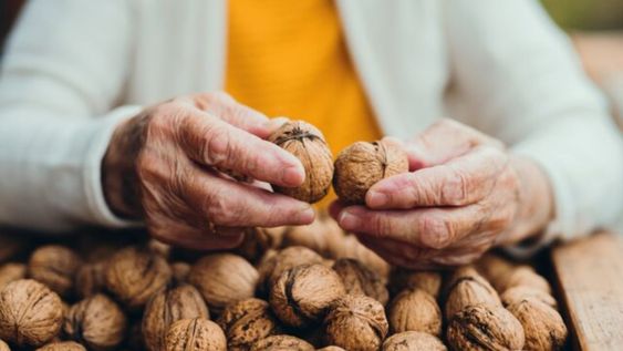 Es adecuado elegir nueces sin sal y evitar versiones industrializadas para obtener beneficios en el colesterol.