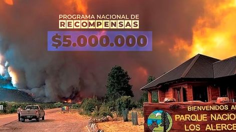 Millonaria recompensa para saber quién originó el incendio en el Parque Nacional Los Alerces.