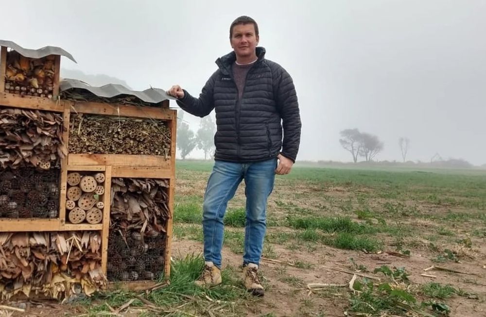 Arman “casas” para insectos polinizadores y benéficos para los cultivos agrícolas