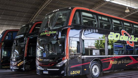 ¿Querés viajar y vivir una gran experiencia? La 20 te ofrece las mejores opciones en esta temporada