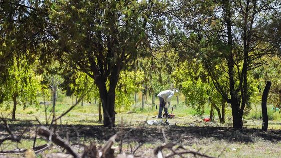 A una semana del femicidio en Nueva California, la comunidad surcoreana vuelve a la normalidad laboral en el complejo donde residen y trabajanFoto: Mariana Villa / lLos Andes
