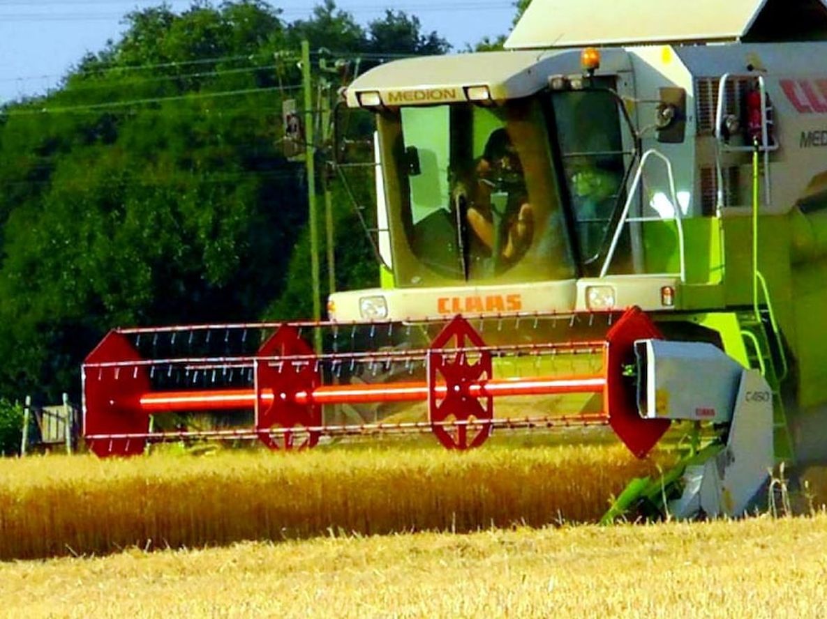 Cómo es la revolución que está transformando el agro mundial - Por Jorge Castro