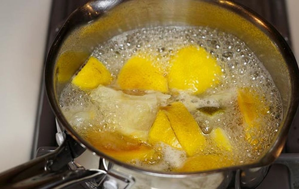 Estos ingredientes son útiles en temporadas cálidas, cuando la aparición masiva de estos bichos aumenta.
