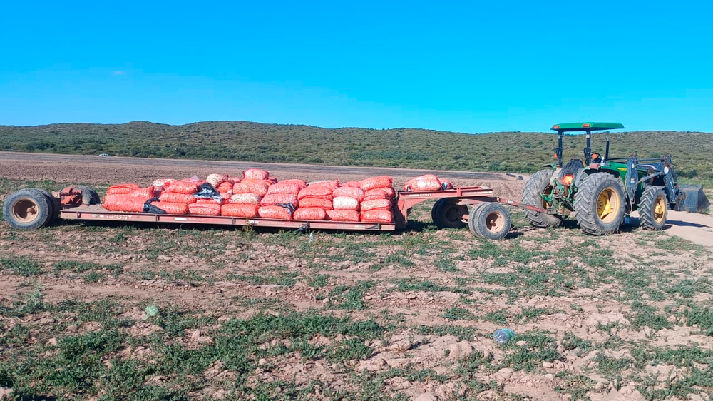San Rafael: un trágico accidente en una finca dejó un trabajador fallecido.