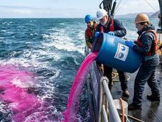 cientificos estadounidenses arrojaron 16.500 galones de lavandina en el golfo de maine y colorearon el agua de rosa