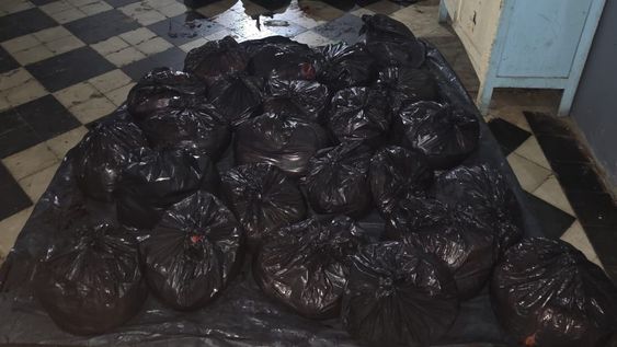 Decomisaron dos toneladas de carne en San Carlos